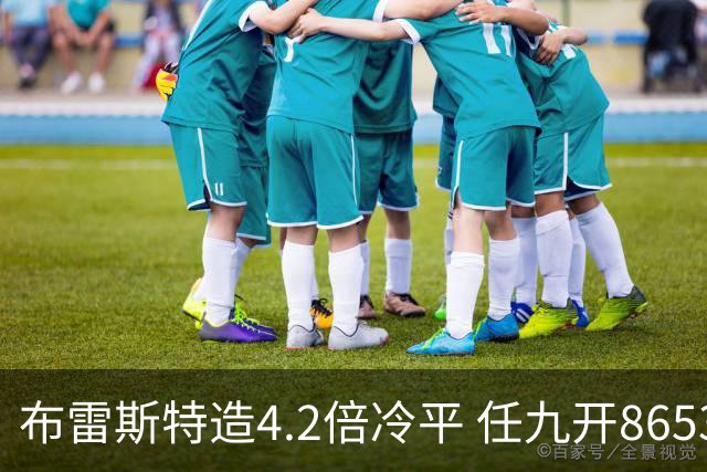 布雷斯特造4.2倍冷平 任九开8653注1378元